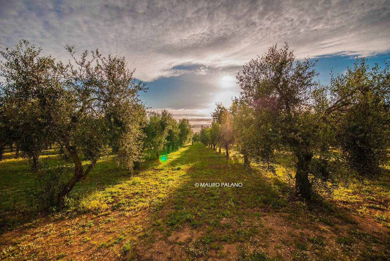 Tenuta Kyrios Borgagne Exteriör bild